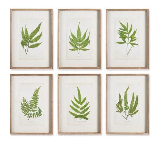 Set of Six Framed Forest Greenery Prints - Paintings - The Well Appointed House