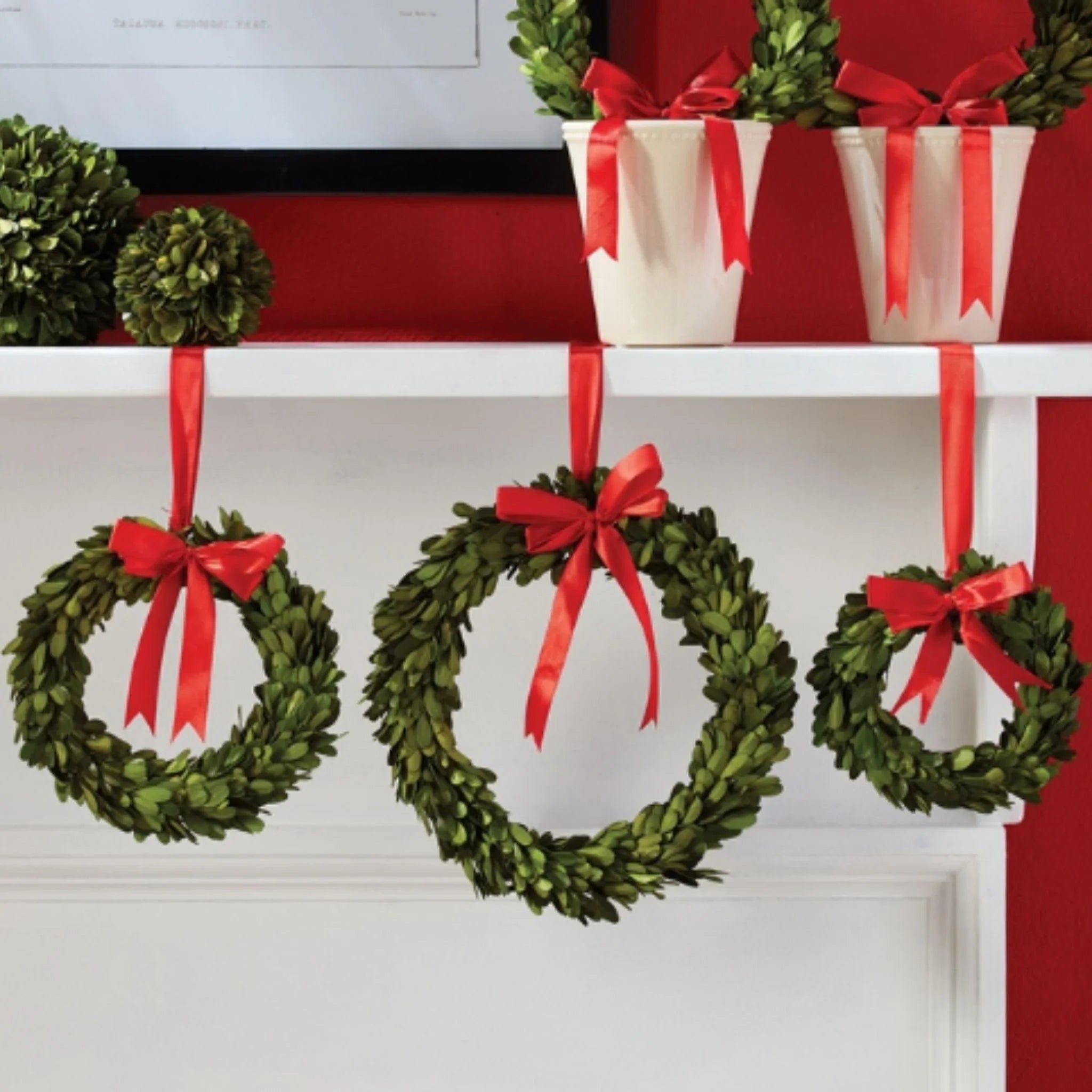 Set of Three Boxwood Wreaths with Red Ribbons – The Well Appointed