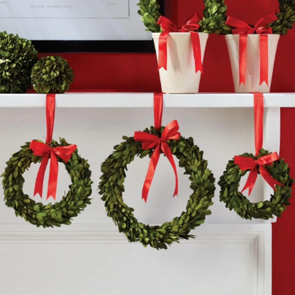 Set of Three Boxwood Wreaths with Red Ribbons - Florals & Greenery - The Well Appointed House