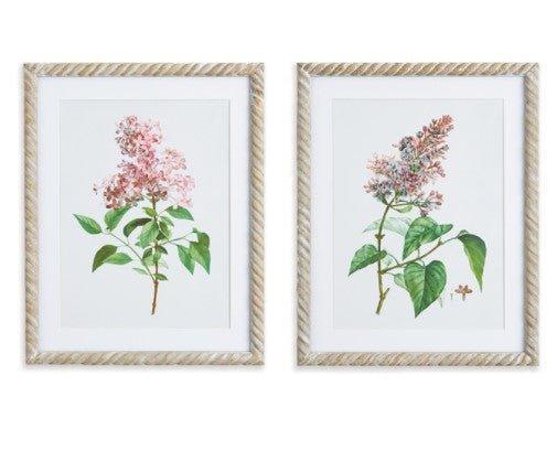 Set of Two Framed Lilac Cutting Prints - Paintings - The Well Appointed House