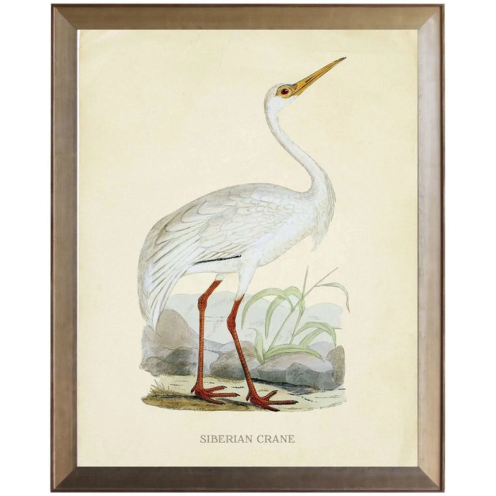 Siberian Crane Framed Wall Art - Paintings - The Well Appointed House