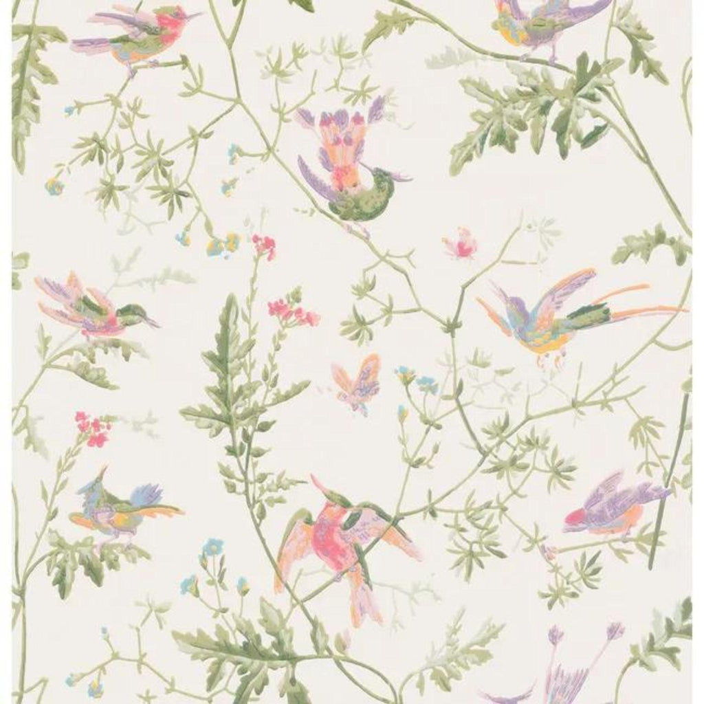 Soft Multicolor Hummingbirds Wallpaper - Wallpaper - The Well Appointed House