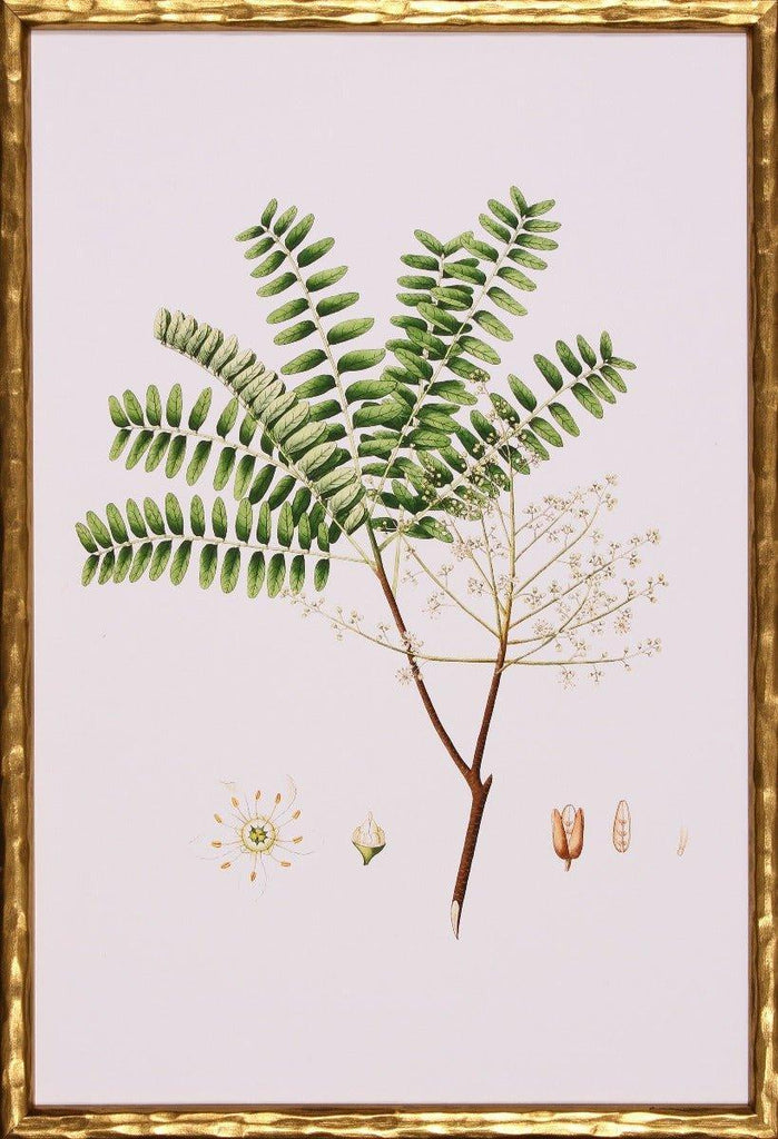 Spring Green Foliage VIII Botanical Lithograph Wall Art in Gold Frame - Paintings - The Well Appointed House