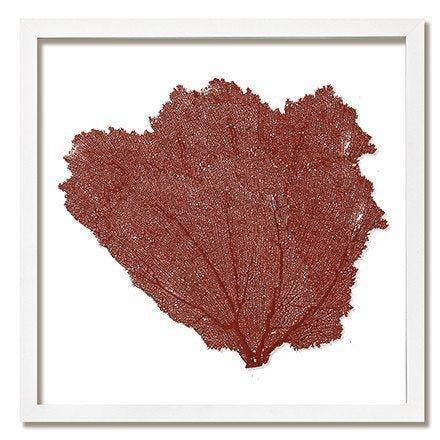 Square Coastal Sea Fan Nautical Beach Framed Wall Art - 25 x 25 - Available in 18 Colors - Framed Objects, Maps & Posters - The Well Appointed House