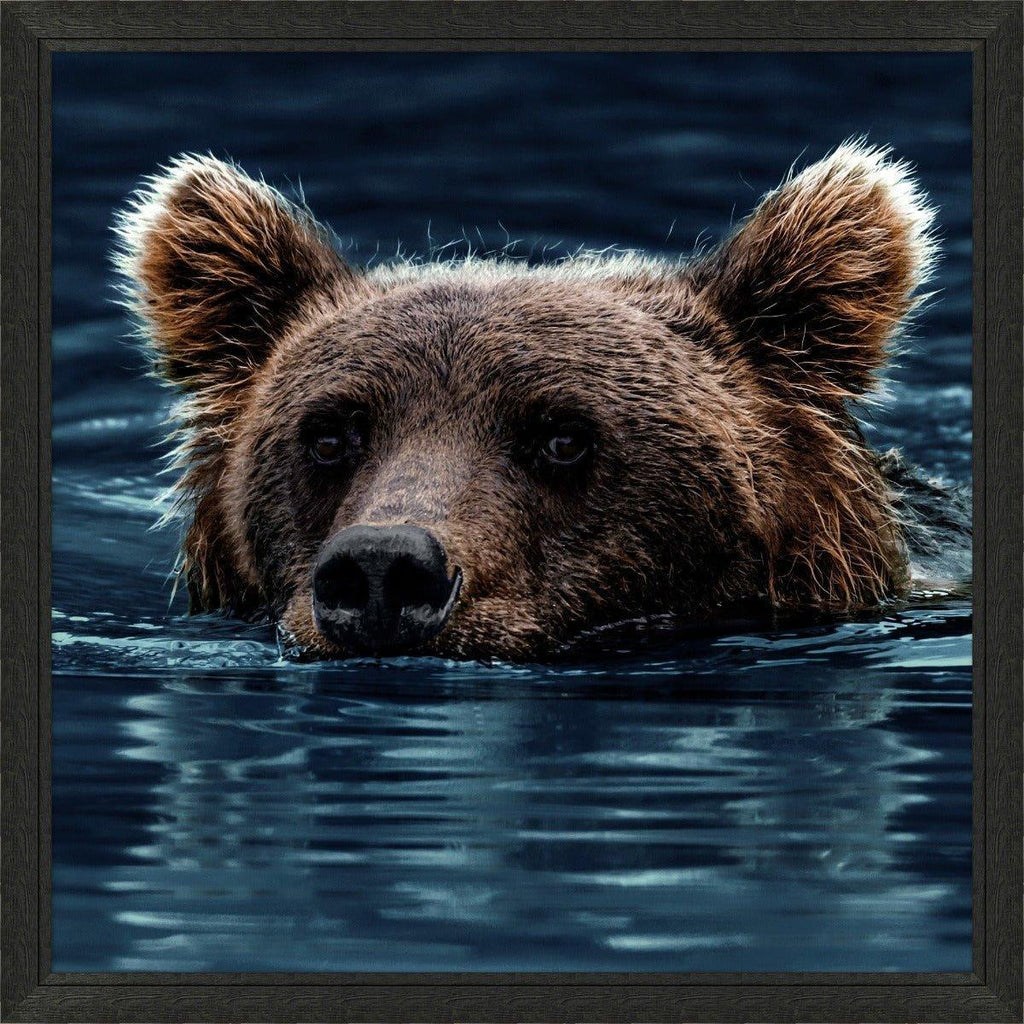 Swimming Brown Bear Framed Wall Art - Photography - The Well Appointed House