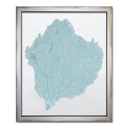 Teal Sea Fan on White Silk Framed Coastal Beach Wall Art - 15 x 18 - Various Fabric Colors Available - Framed Objects, Maps & Posters - The Well Appointed House