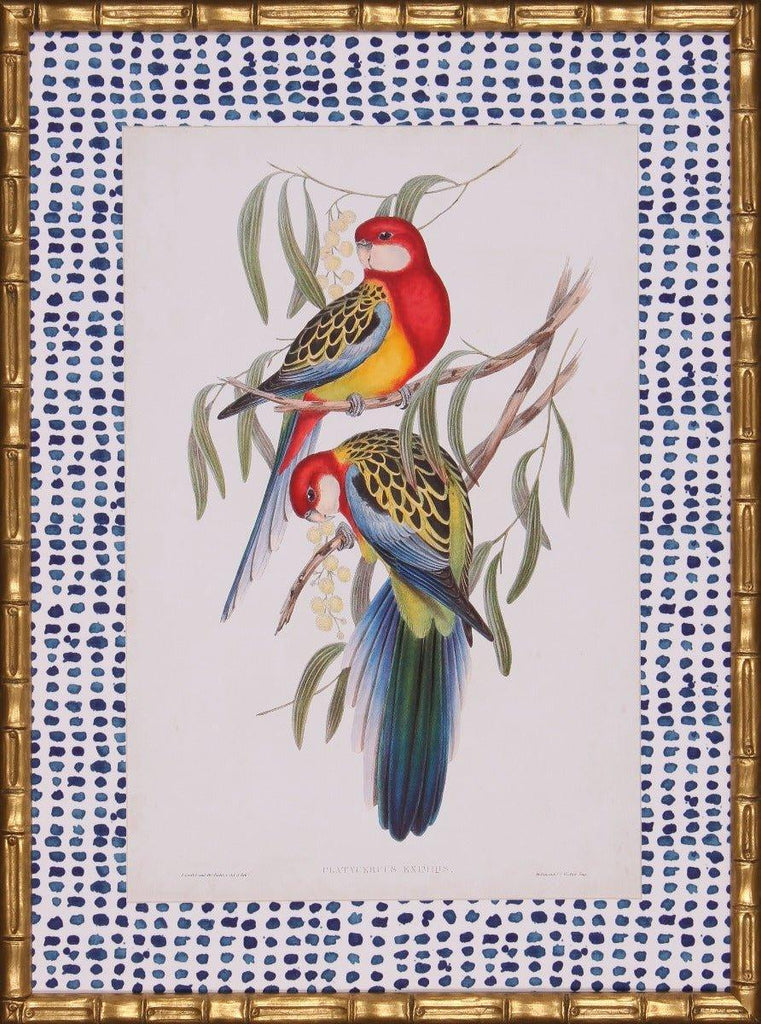 Tropical Parrots IV Wall Art With Blue Spotted Matte in Gold Frame - Paintings - The Well Appointed House