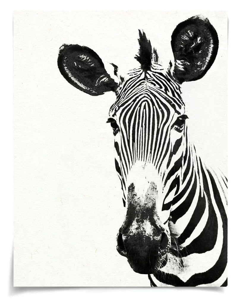 Tylinek Zebra Wall Art - Paintings - The Well Appointed House