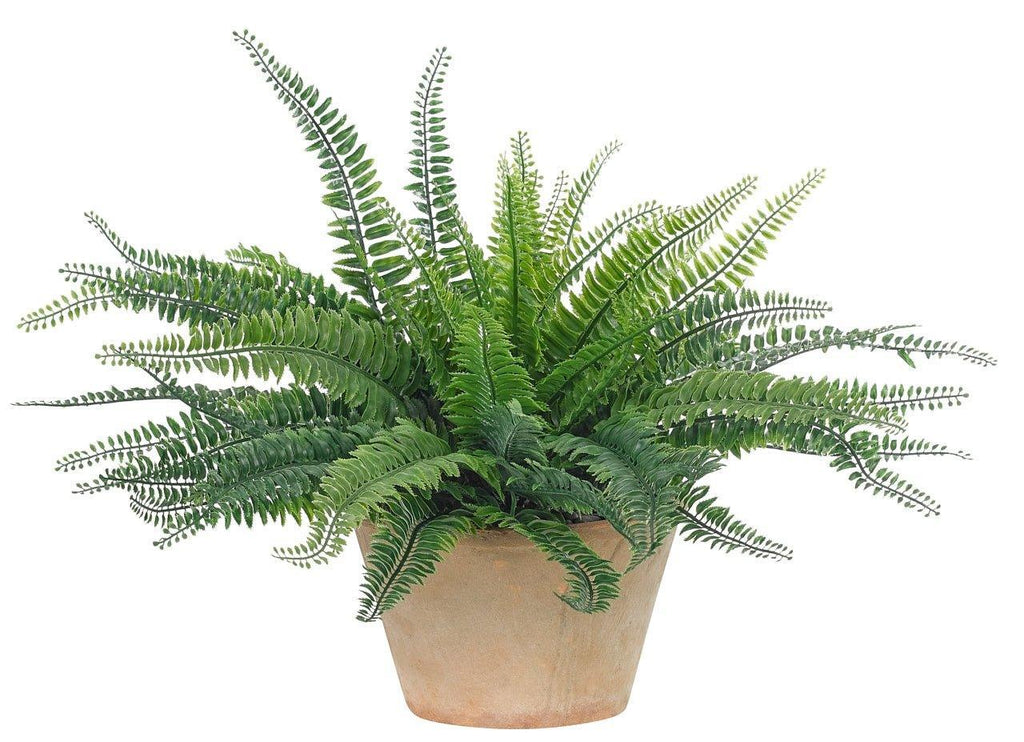 UV Rated Outdoor Faux Boston Fern in Terracotta Pot - Florals & Greenery - The Well Appointed House