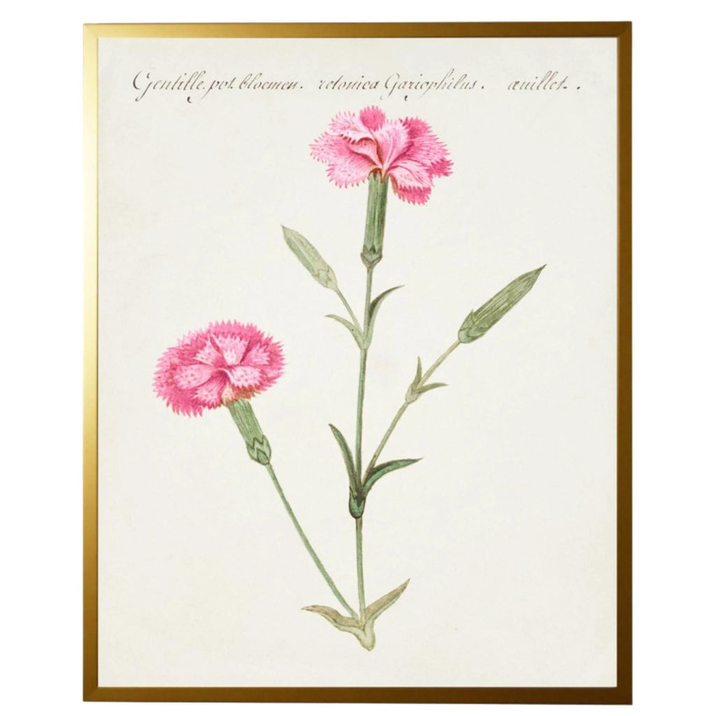 Vintage Bookplate with Carnations Framed Wall Art - Paintings - The Well Appointed House