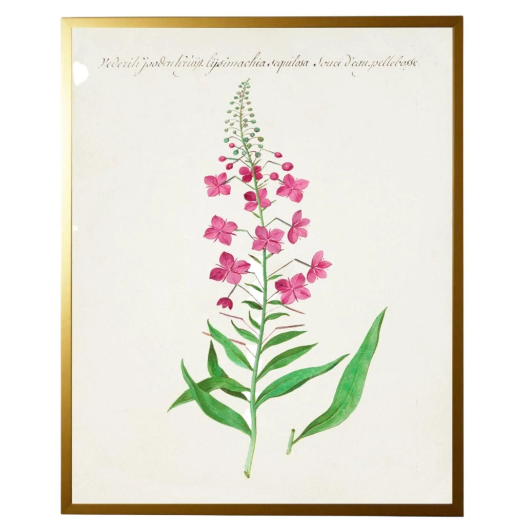 Vintage Bookplate with Pink Flowers Framed Wall Art - Paintings - The Well Appointed House