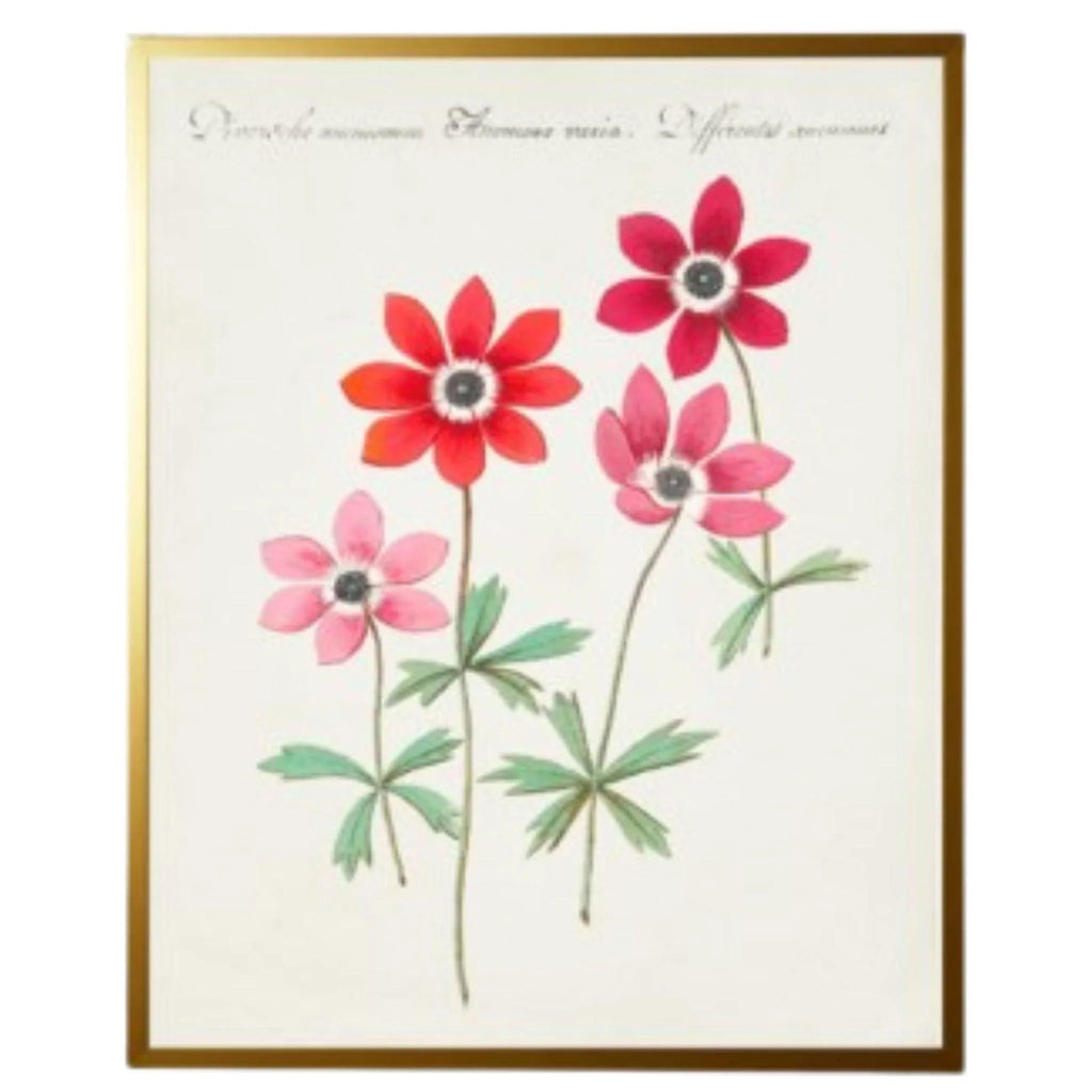 Vintage Bookplate with Red Flowers Framed Wall Art - Paintings - The Well Appointed House