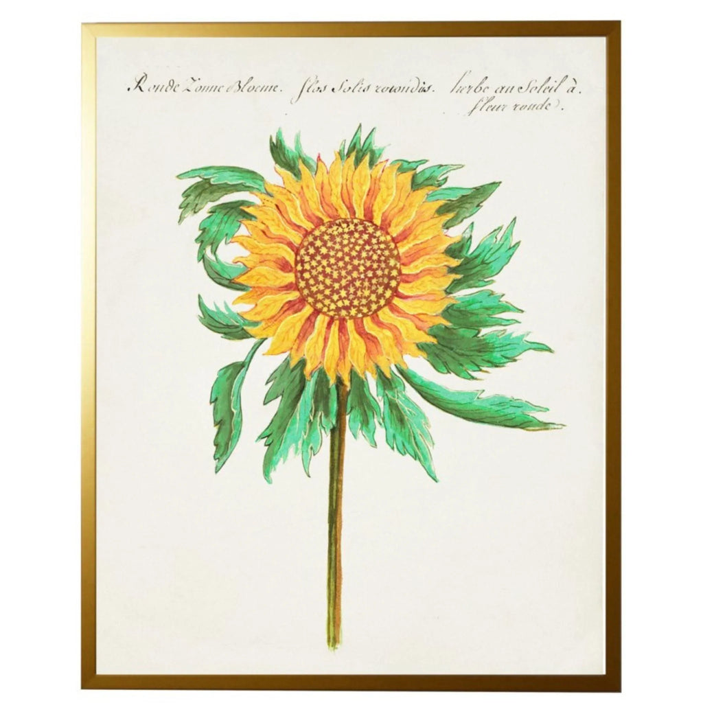 Vintage Bookplate with Sunflower Framed Wall Art - Paintings - The Well Appointed House