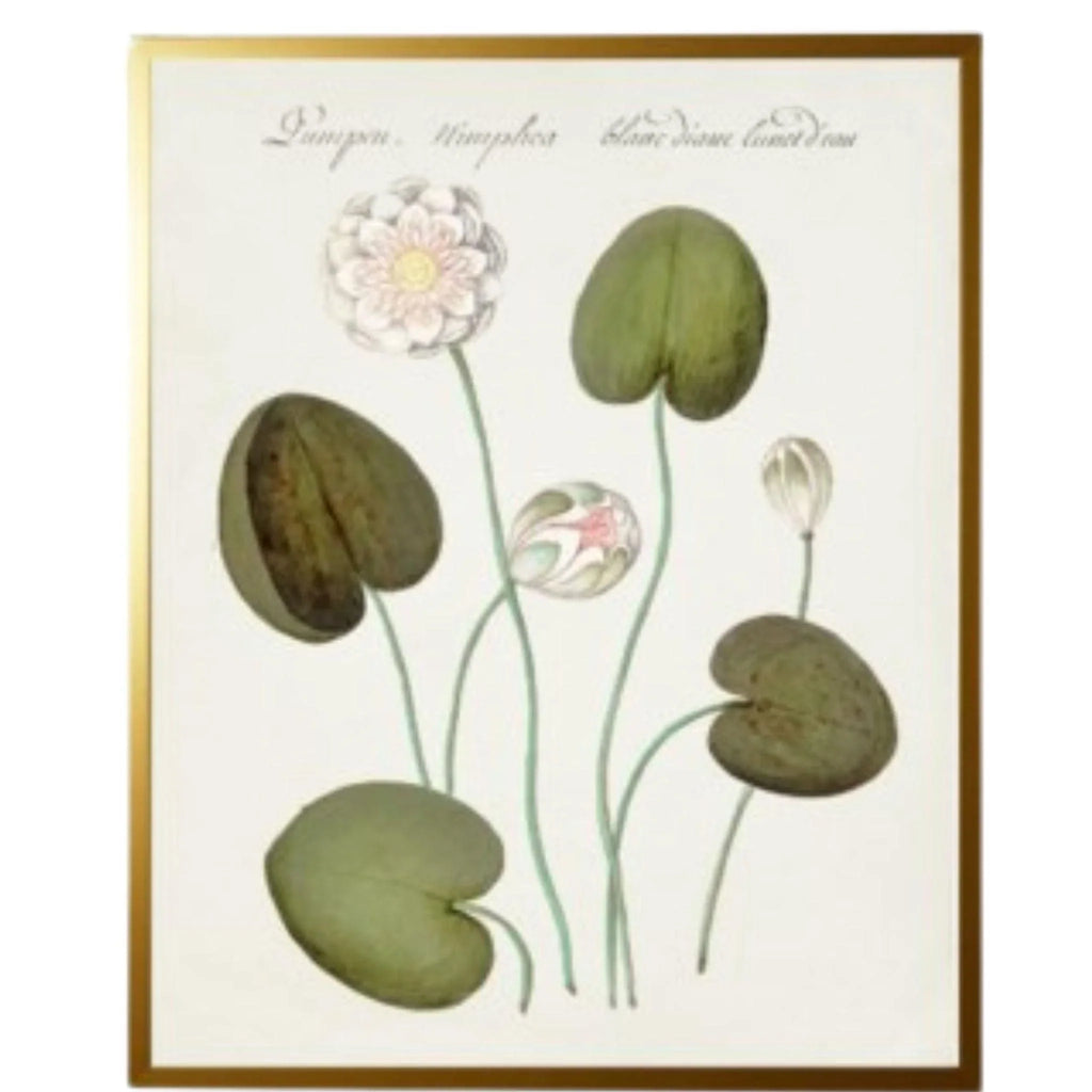 Vintage Bookplate with White Flowers Framed Wall Art - Paintings - The Well Appointed House