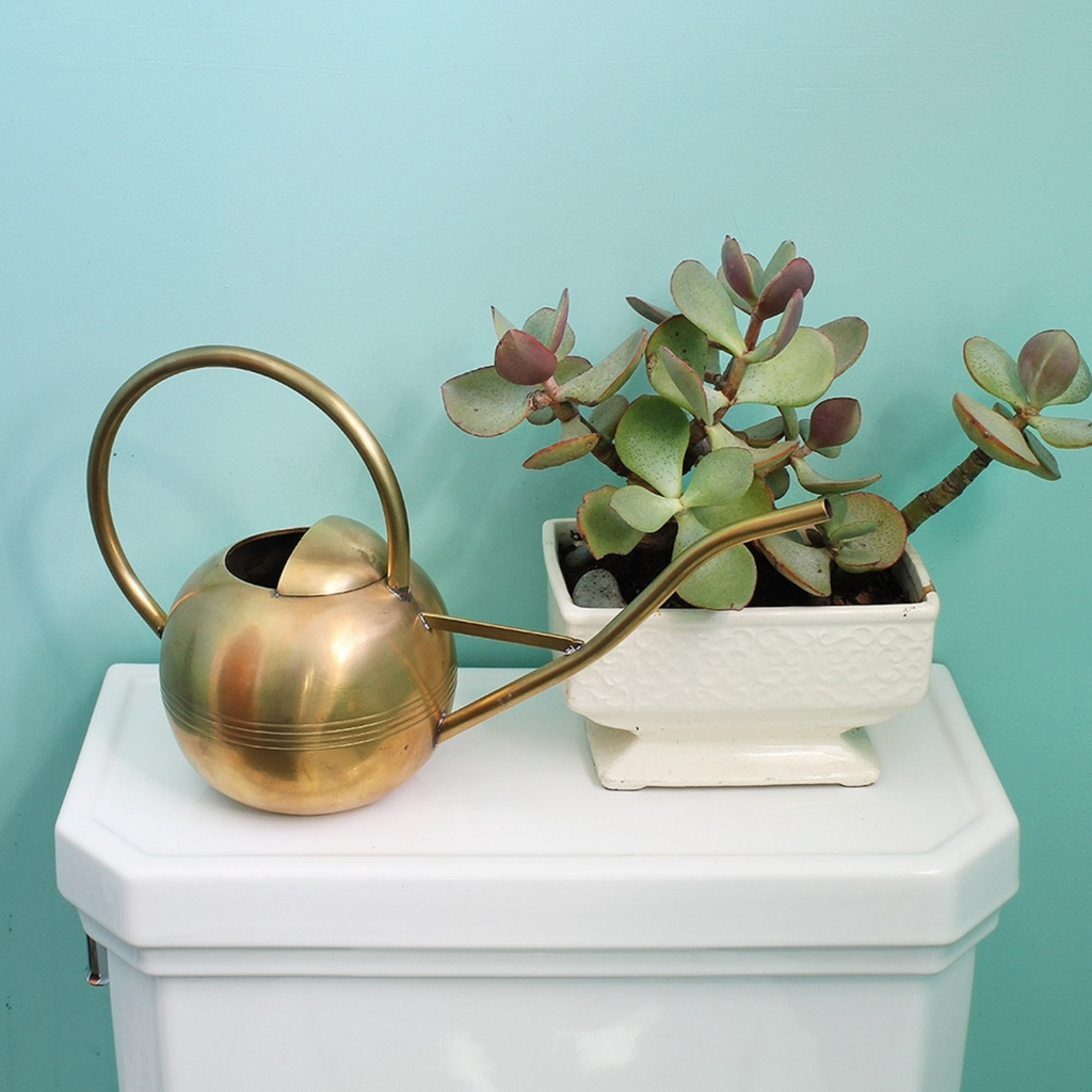 Solid Brass Globe Watering Can - The Well Appointed House