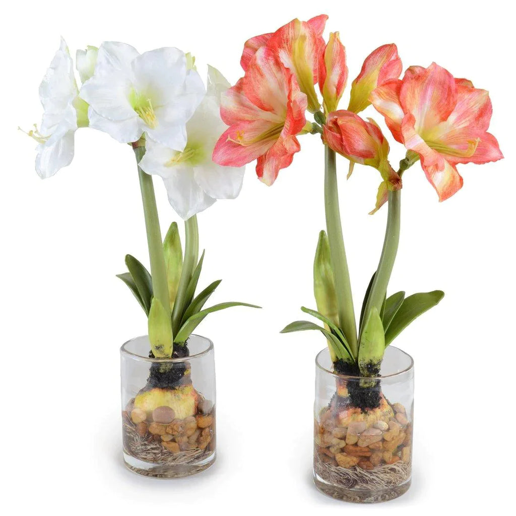 White Faux Amaryllis in Glass Cylinder - Florals & Greenery - The Well Appointed House
