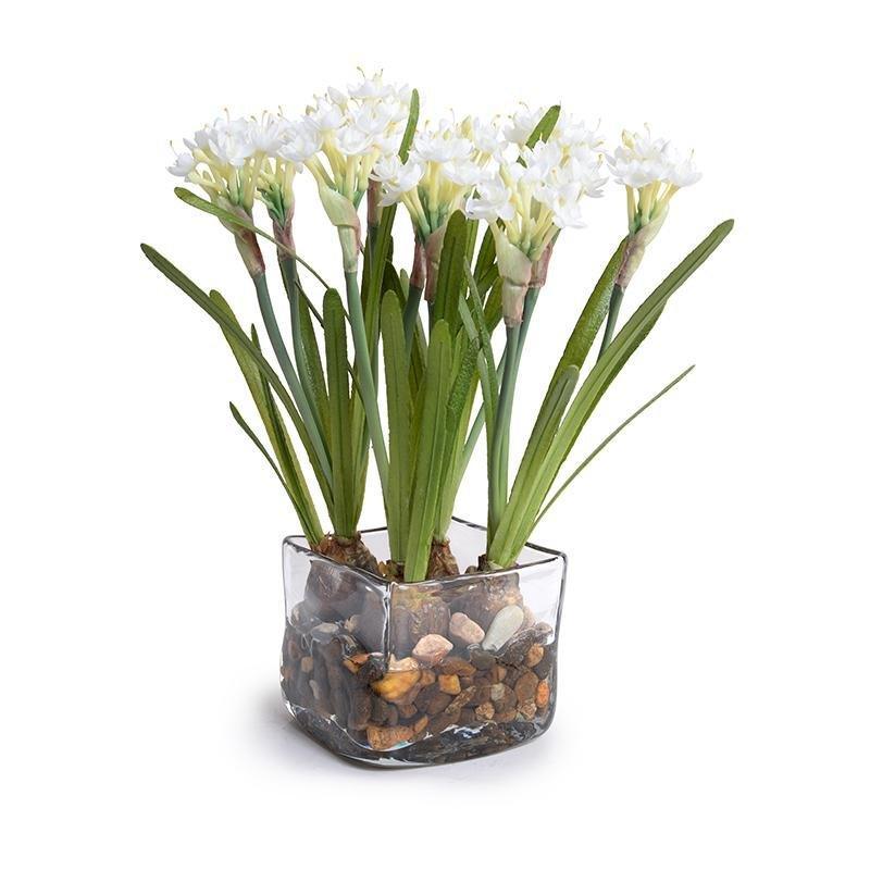 White Narcissus Arrangement in Clear Square Vase - Florals & Greenery - The Well Appointed House