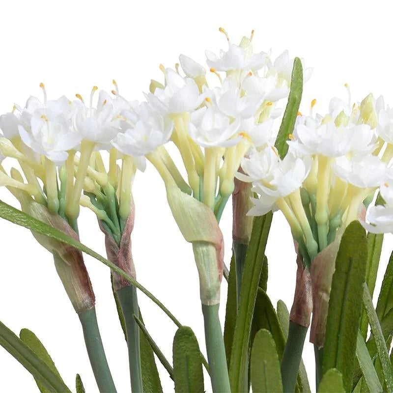 White Narcissus Arrangement in Clear Square Vase - Florals & Greenery - The Well Appointed House