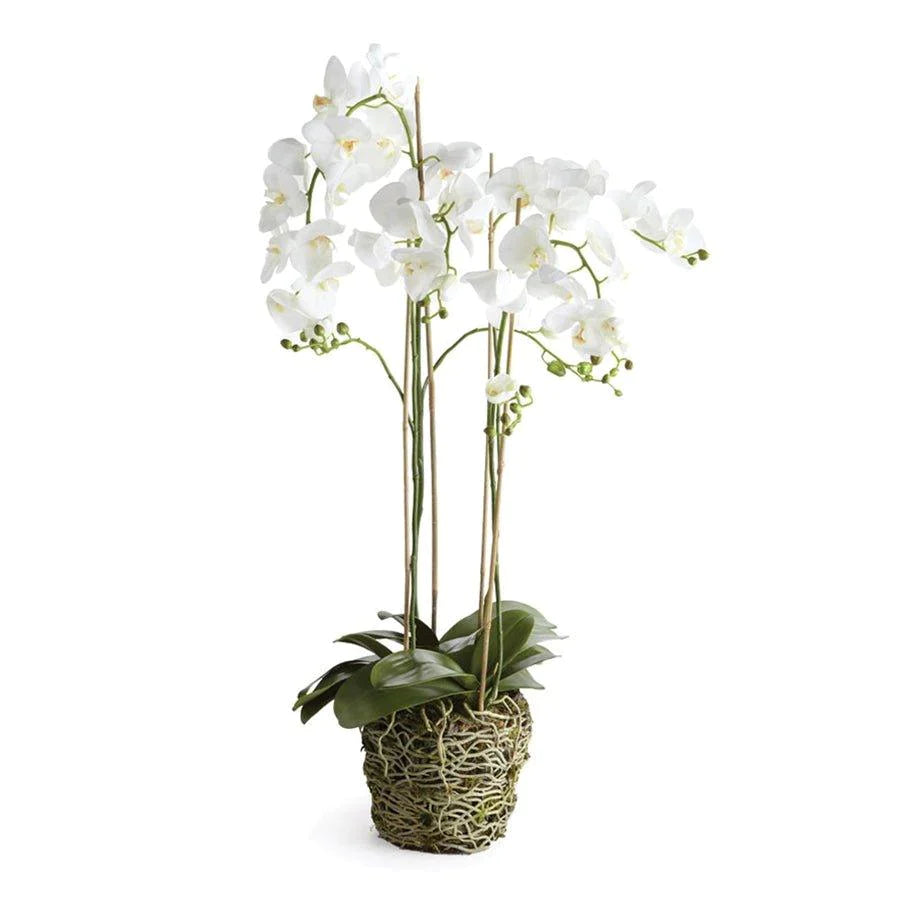 White Phalaenopsis Faux Orchid Drop-in Arrangement - Florals & Greenery - The Well Appointed House