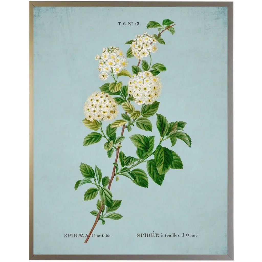 White Spirea on Blue Framed Wall Art - Paintings - The Well Appointed House