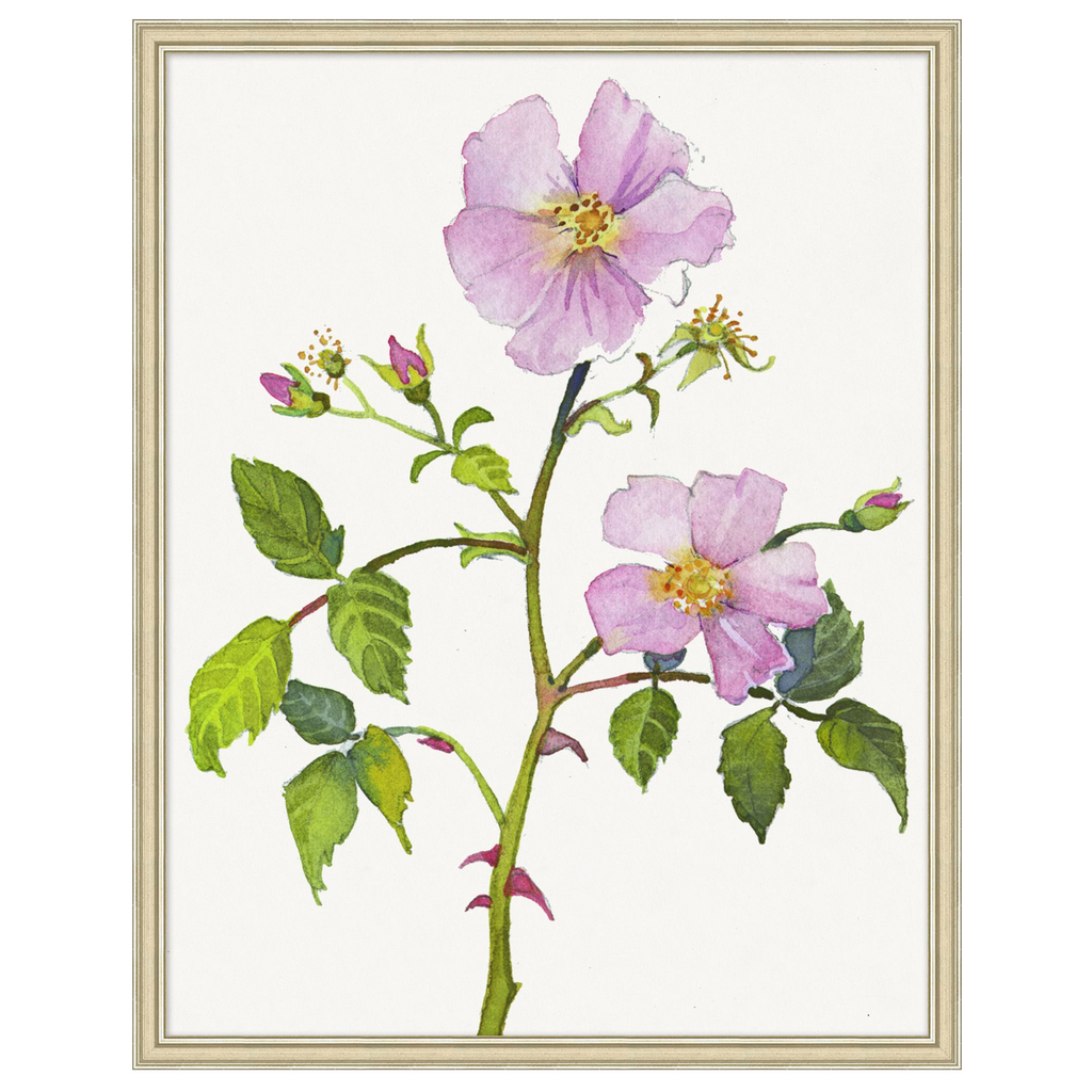 Wild Rose 1 Framed Wall Art - The Well Appointed House