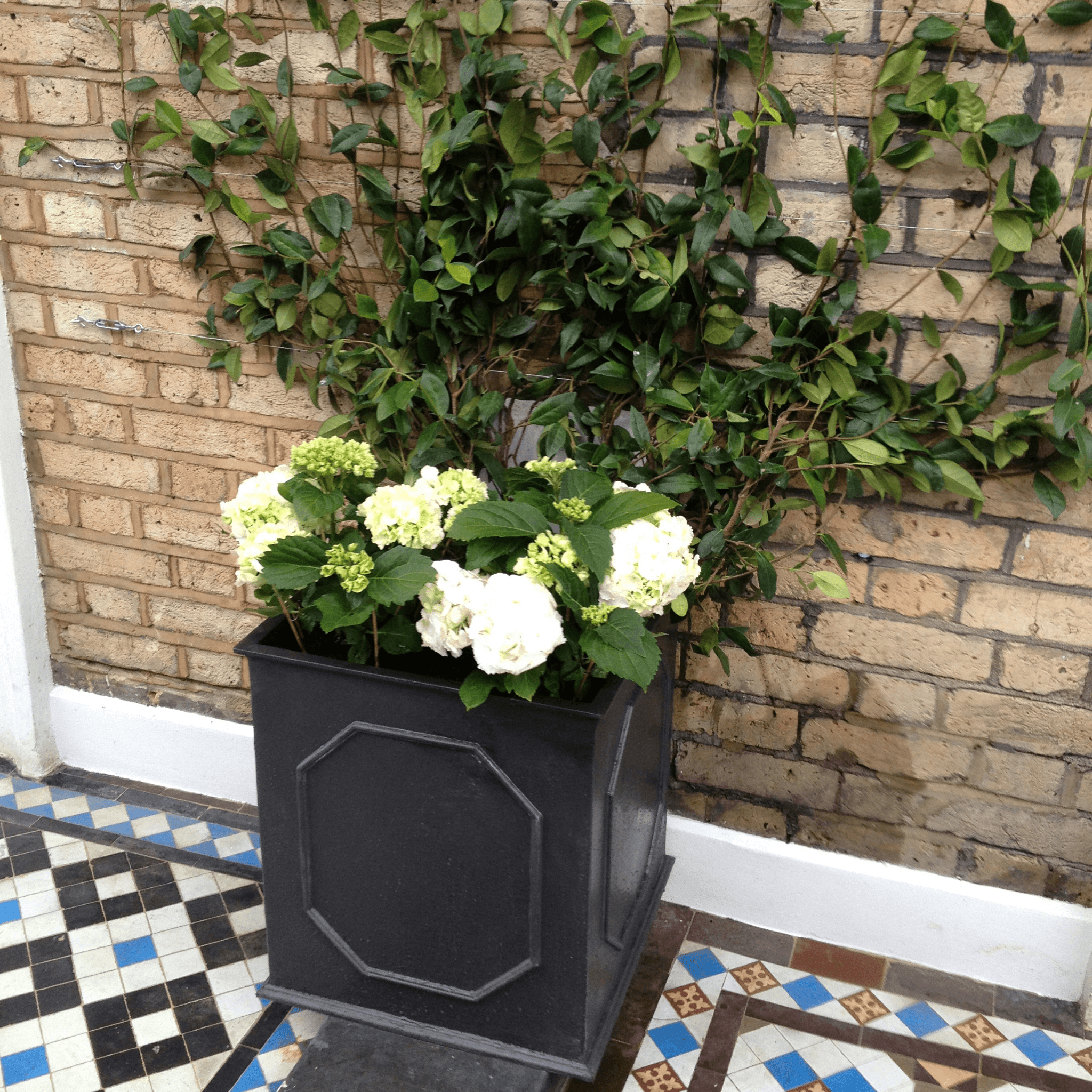 house and garden outdoor est 1901 planter William Traditional Garden Planter