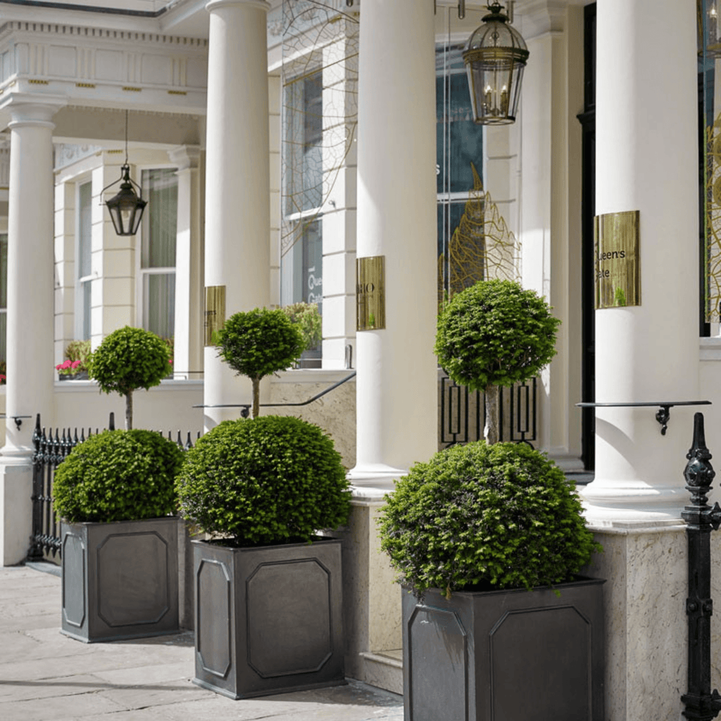 William Traditional Garden Planter - Outdoor Planters - The Well Appointed House