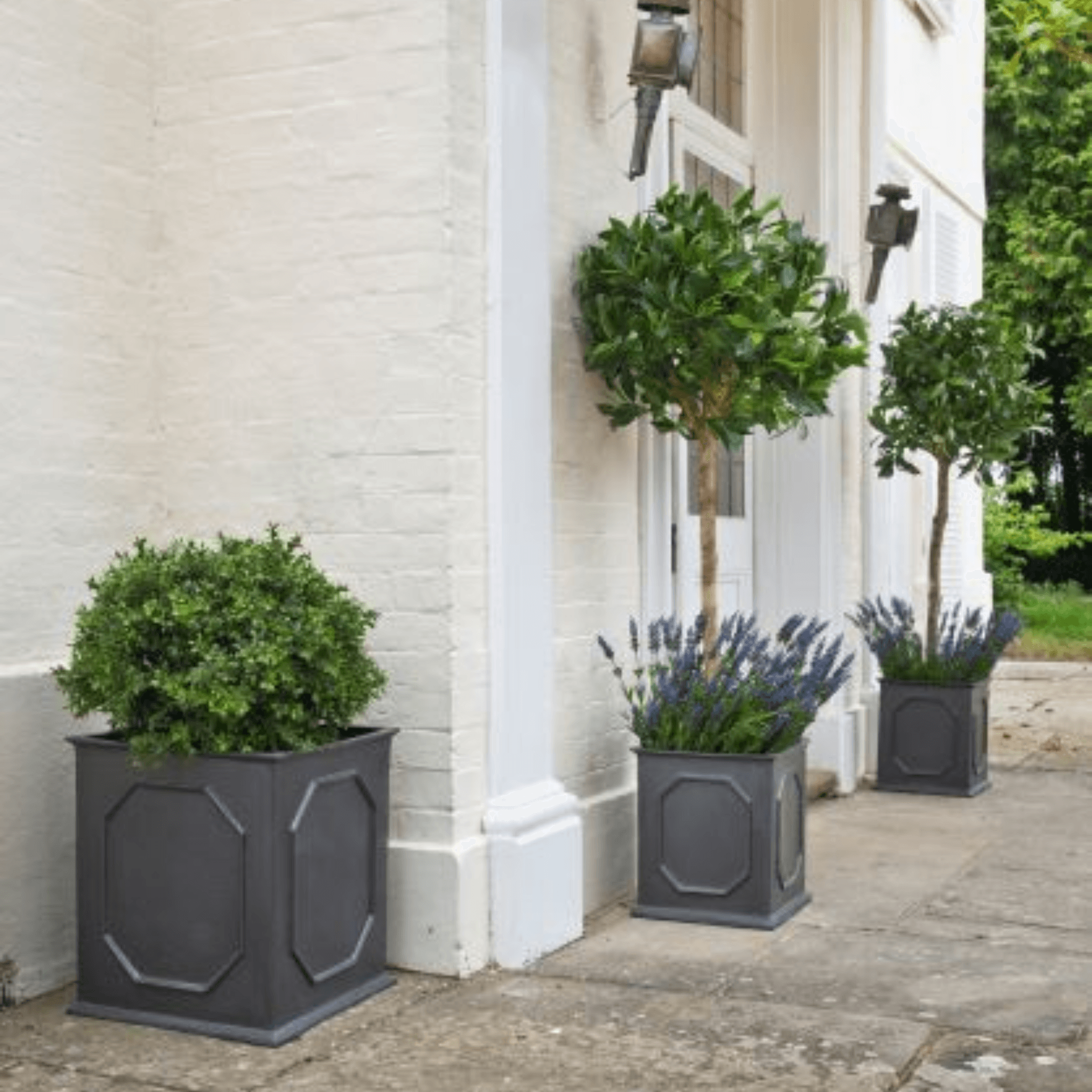 house and garden outdoor est 1901 planter William Traditional Garden Planter – The Well Appointed House