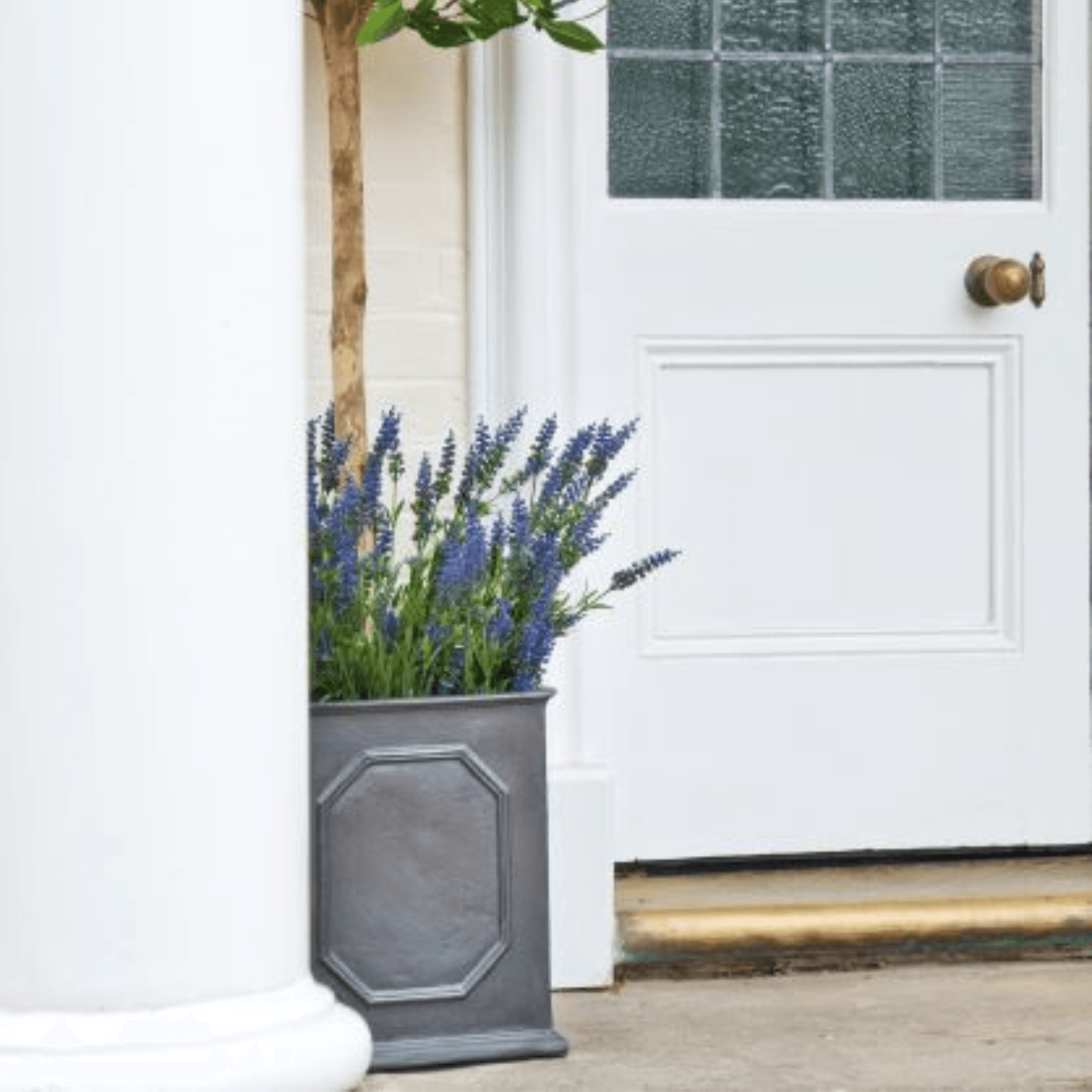 house and garden outdoor est 1901 planter William Traditional Garden Planter – The Well Appointed House