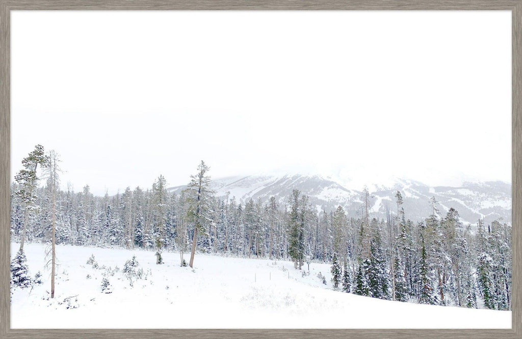 Winter White Snowy Mountains Framed Wall Art - Photography - The Well Appointed House