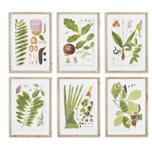 Set of Six Framed & Matted Botanical Leaf Prints - Paintings - The Well Appointed House